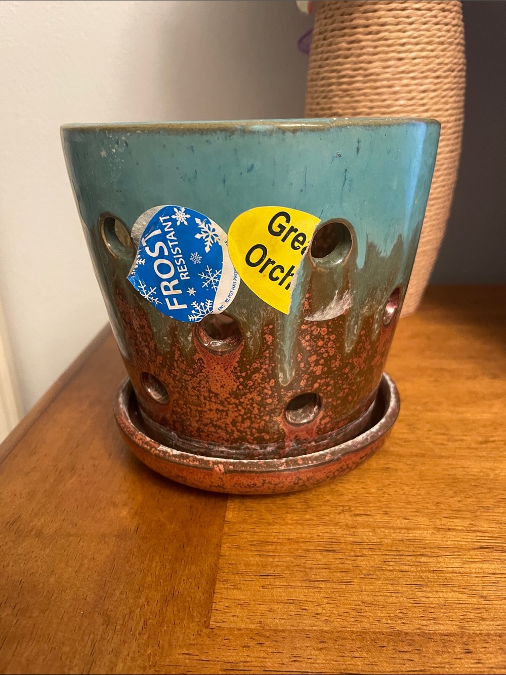 Allen + Roth Ceramic Planter Pot for Orchids or Succulents with Drainage Holes